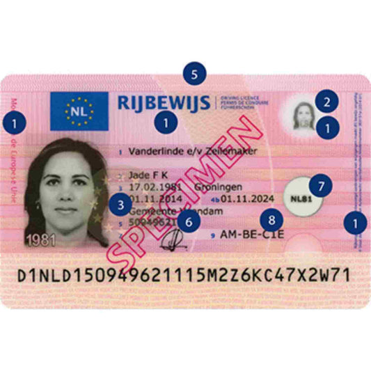 RIJBEWIJS / IDENTITEITSKAART – VERTALING